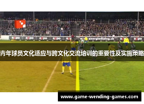 青年球员文化适应与跨文化交流培训的重要性及实施策略