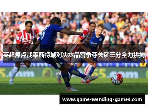 英超焦点战莱斯特城对决水晶宫争夺关键三分全力拼搏